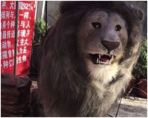 老虎和狮子都是仿真机械动物。网图