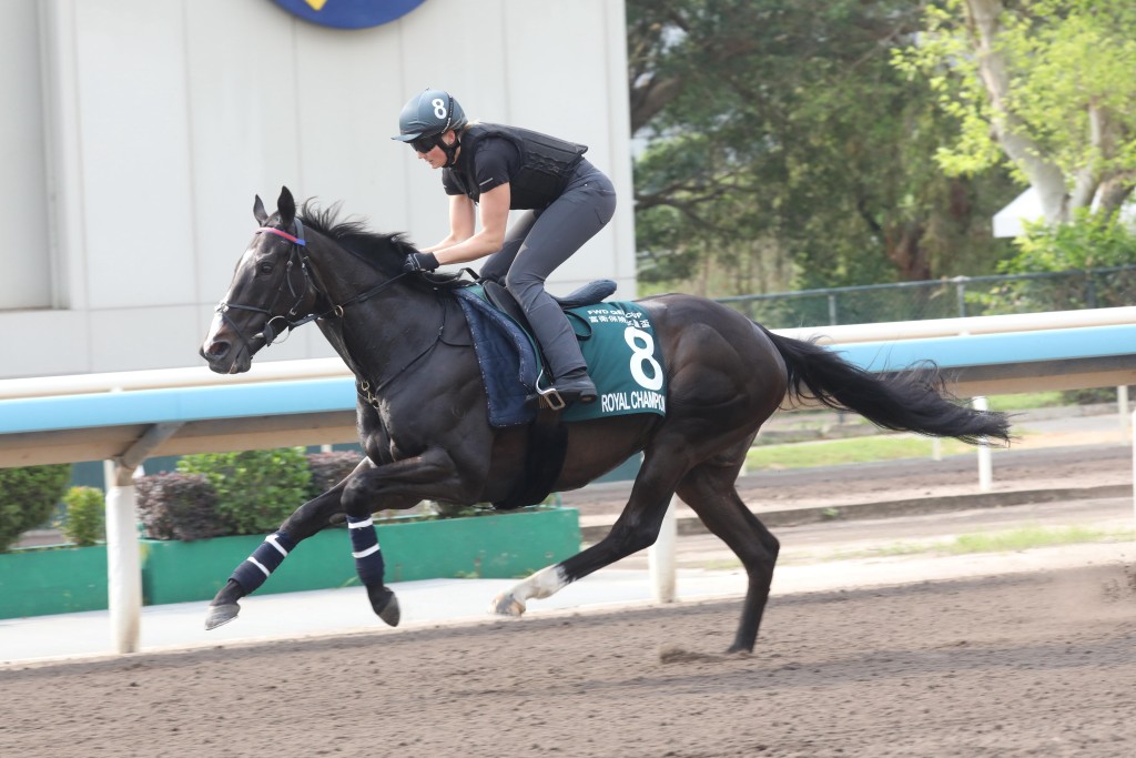 女皇杯英国代表「御冠军」，今早由策骑员策骑，在大圈跑道操练后，本准备收停之际，该驹突然再次发力竞跑，而鞍上未能立即控制，结果岀现「溜缰」情况，再走一圈才被收停，幸好人马事后均无恙。  文杰
