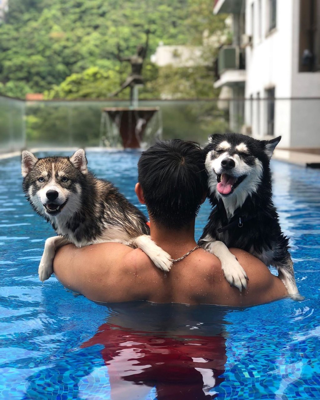 這棟8層高的獨立屋位於大坑。 這棟8層高的獨立屋位於大坑。