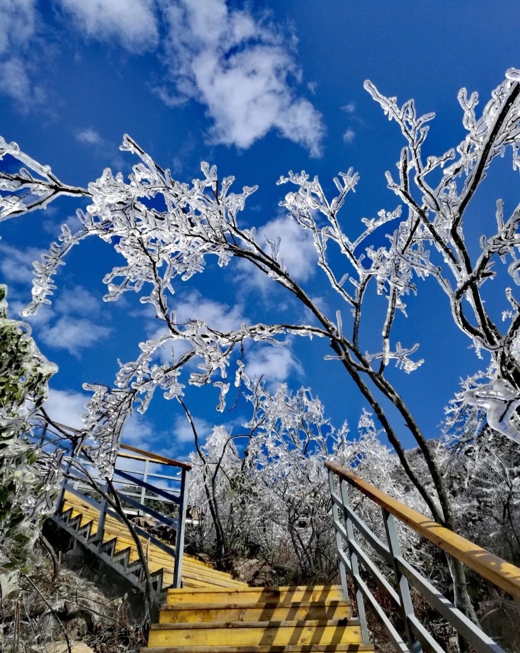 广东出现的首场冰挂。网上图片