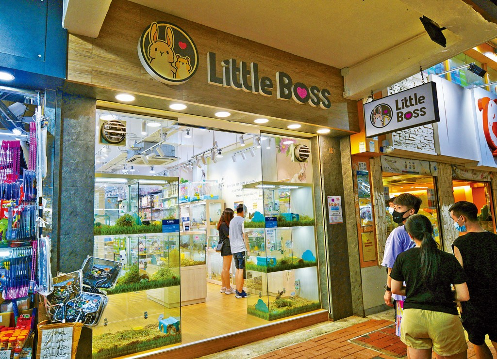 當局已在少女購買龍貓的寵物店取環境樣本化驗。