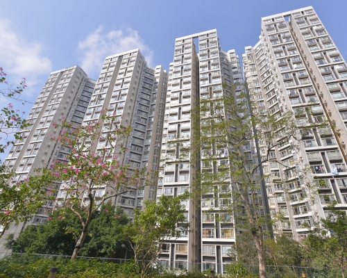 麗港城低層2房戶，勝在廳大房大夠實用。