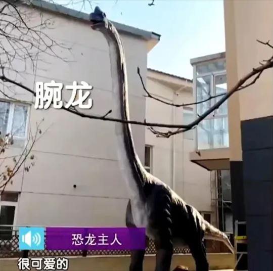 巨型恐龙高达15米。影片截图
