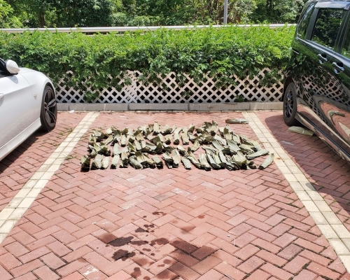 有人將糭葉放在停車位內。FB群組「清河邨 & 祥龍圍邨 Ching Ho Estate & Cheung Lung Wai Estate」圖片