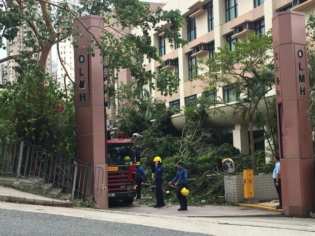 消防到場清理塌樹。讀者提供