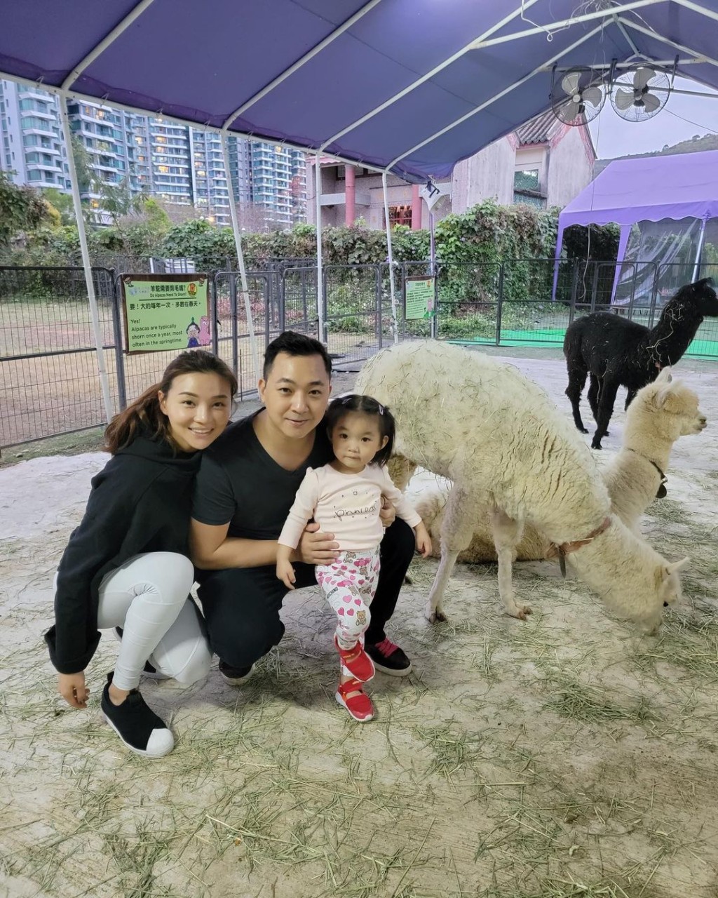 Grace一家三口。