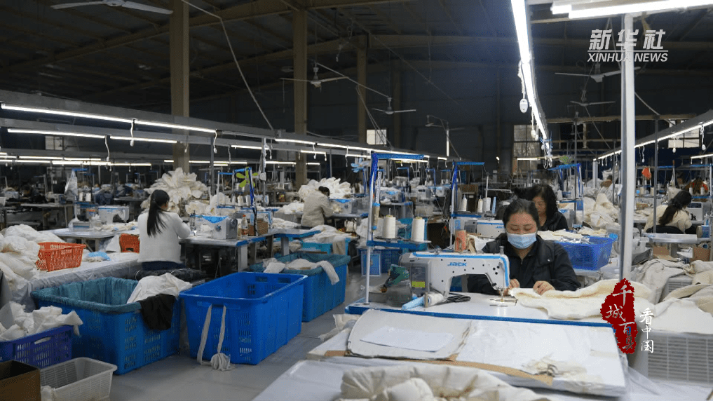 豬肉價格持續下跌，民眾減少買鴨鵝令羽絨材料價格大漲。新華社