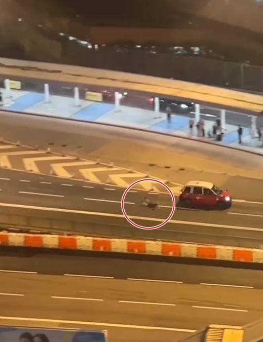 男子再次倒地。fb車cam L（香港群組）影片截圖