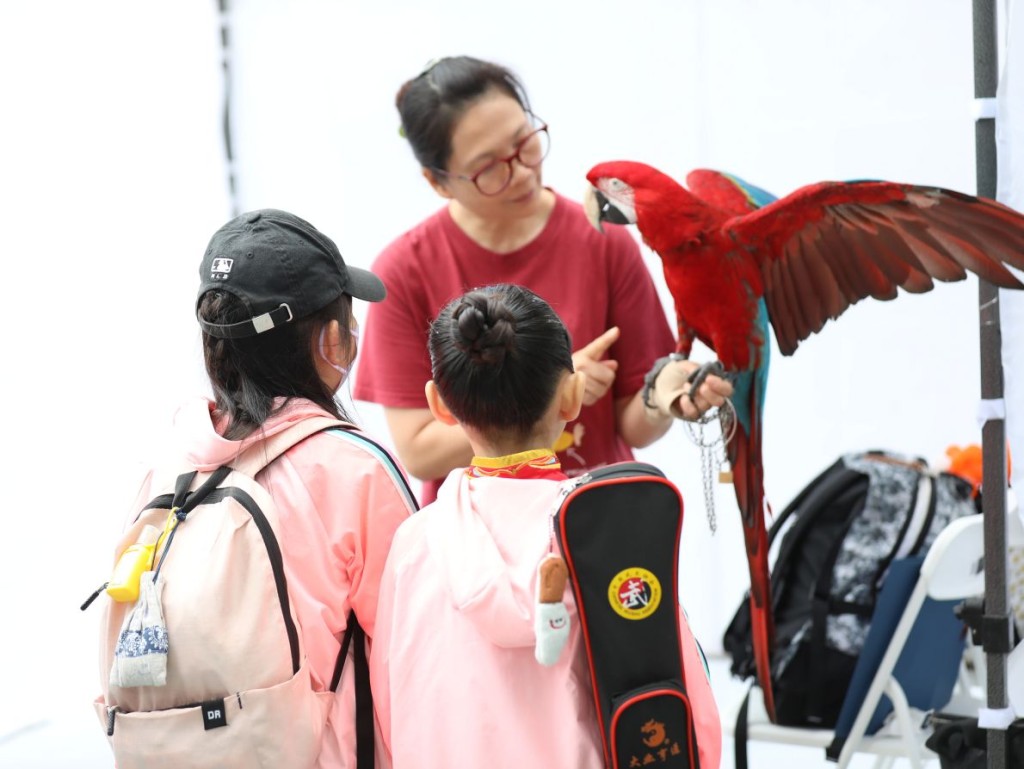 市集設有不同寵物,包括鸚鵡、山羊及兩棲爬行動物近距離接觸環節,讓市民了解不同寵物的習性與照料方式。 市集設有不同寵物,包括鸚鵡、山羊及兩棲爬行動物近距離接觸環節,讓市民了解不同寵物的習性與照料方式。