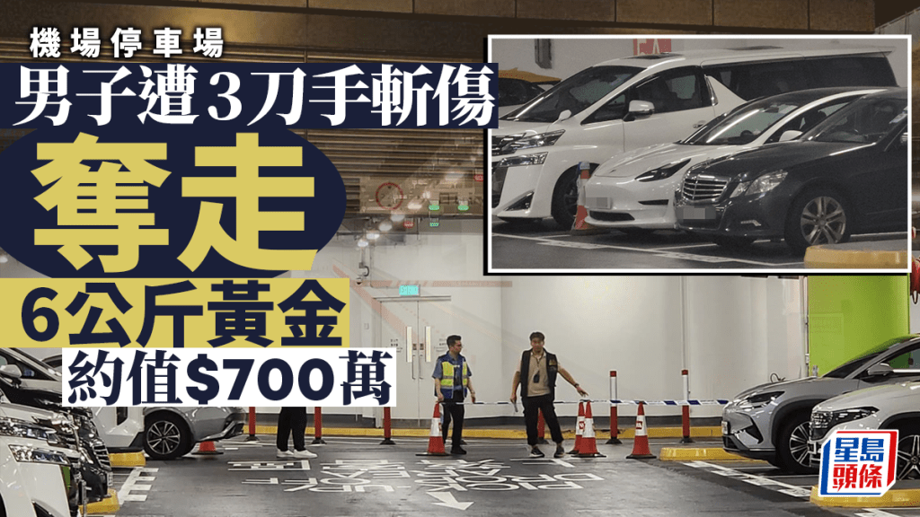 机场停车场男子遇伏击挨斩 失6公斤黄金约值700万元 3刀手在逃