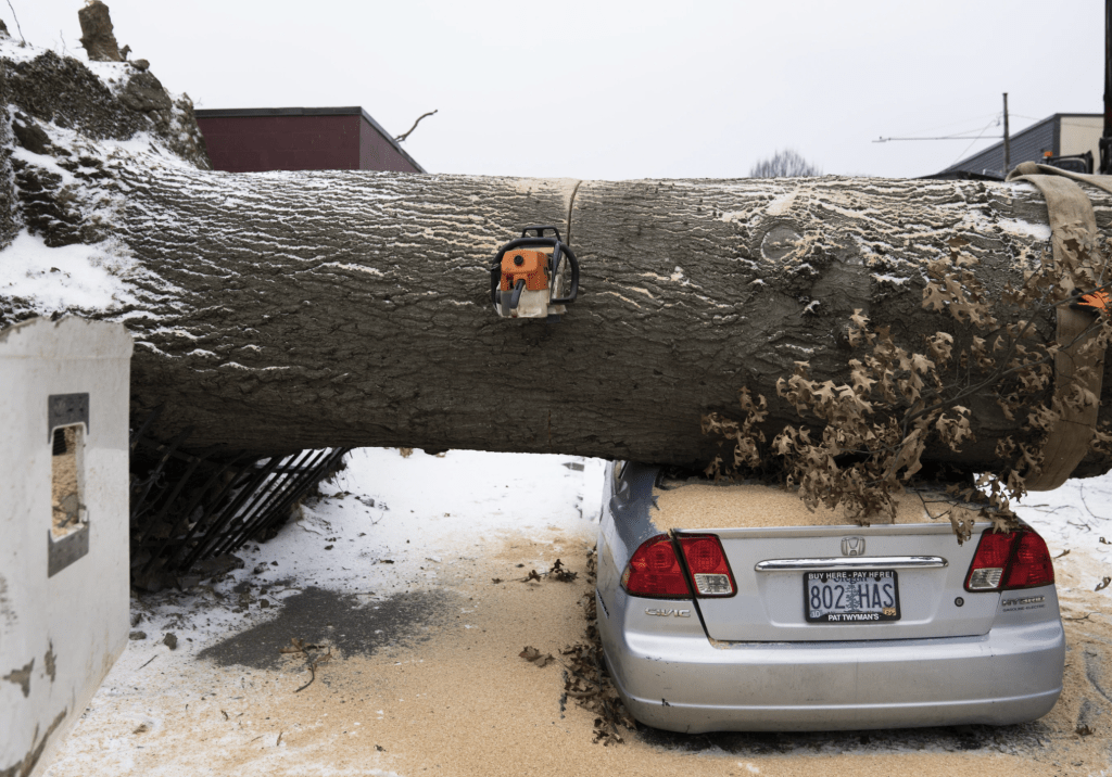 波特蘭南部的一個社區約有 100 棵樹倒塌，造成多人死亡。美聯社