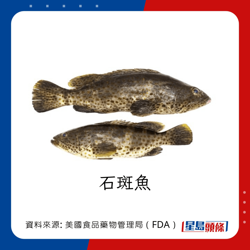 魚類水銀｜水銀含量中等的魚類：石斑魚