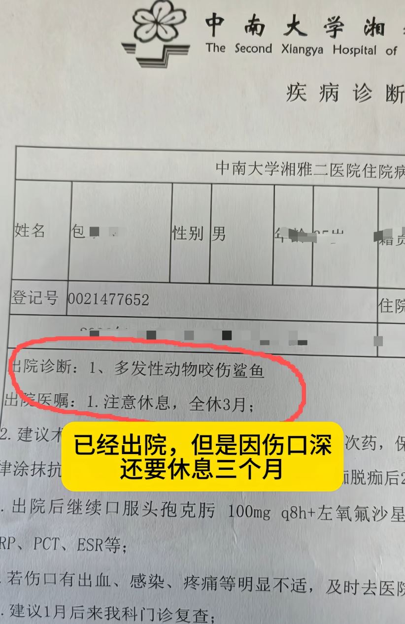 包先生參加水族館的潛水活動時被鯊魚咬至毀容。抖音