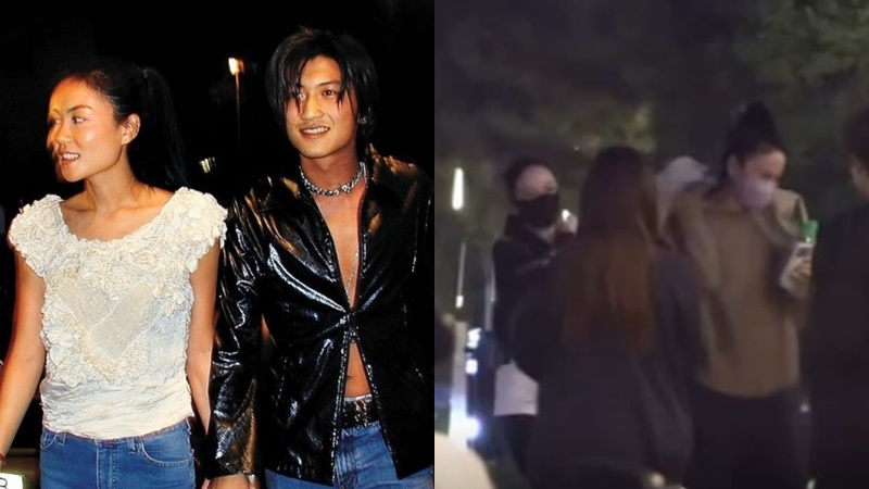 王菲傳牽手謝霆鋒現身眼科醫院  北京罕現身氣質超凡  做一事因為掛住香港？