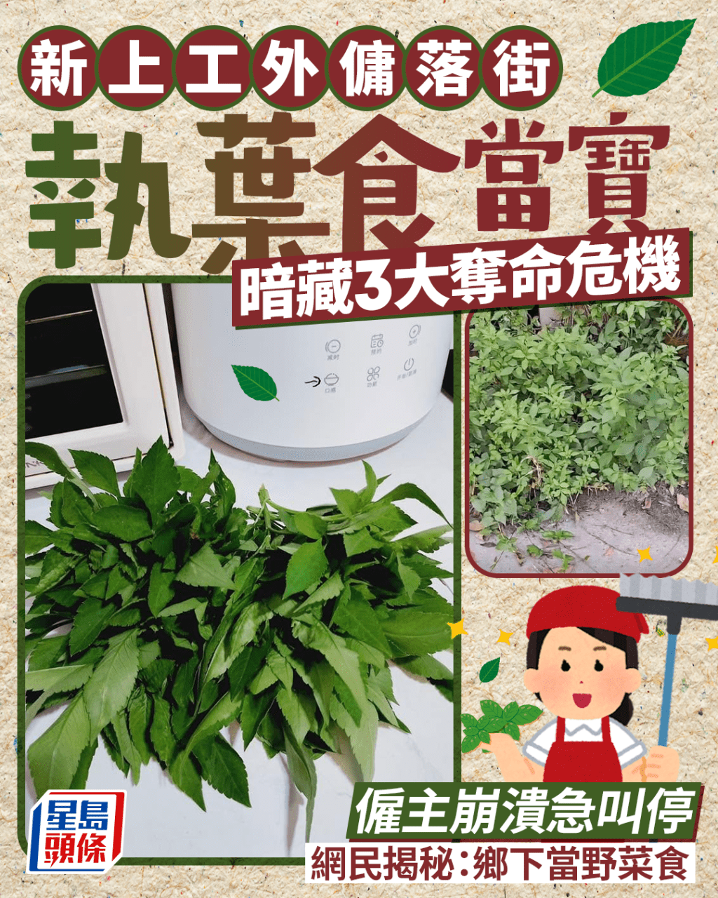 新上工外傭落街執葉食當寶 暗藏3大奪命危機 僱主崩潰急叫停 網民揭秘：鄉下當野菜食｜Juicy叮
