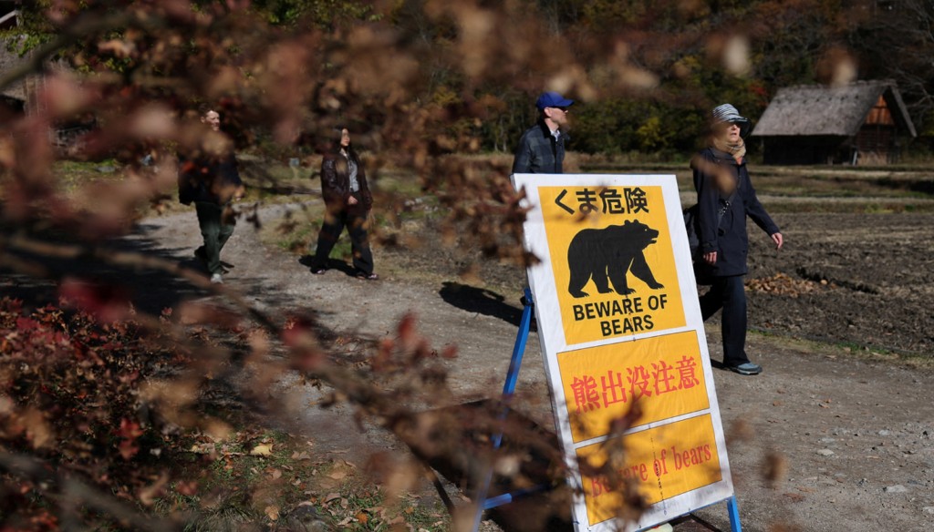 日本近期天气变温暖后，各地多了熊出没。路透社