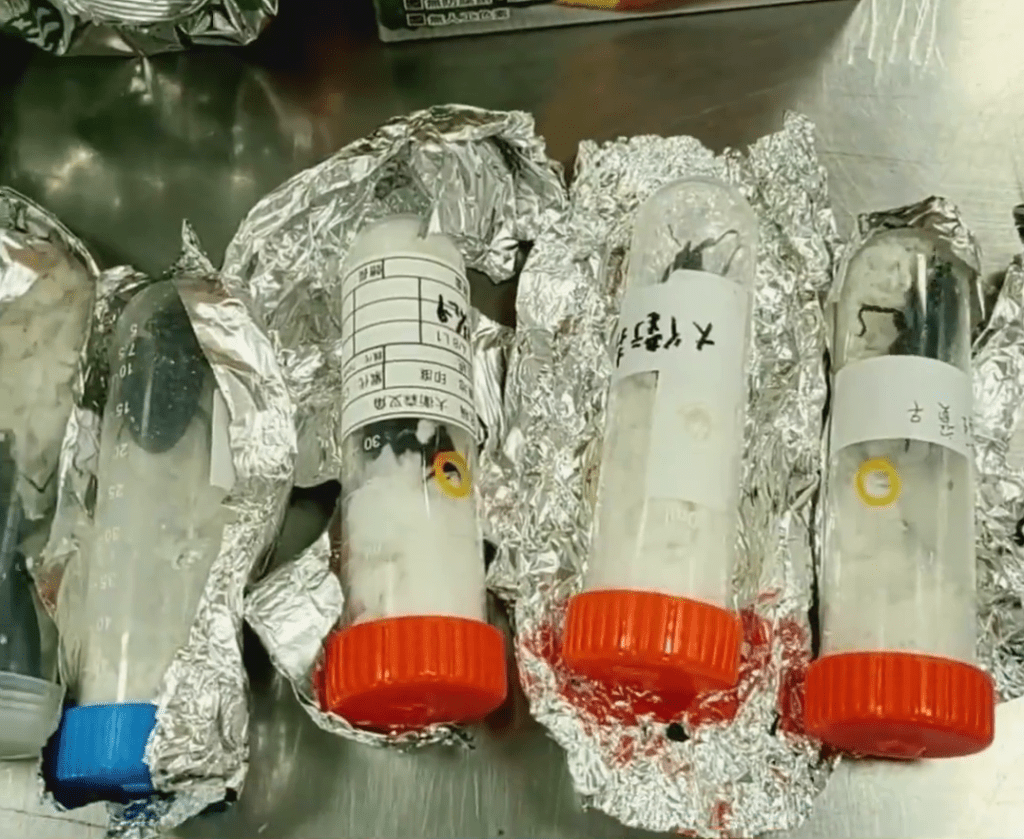 搜出的錫箔紙包裹的塑料管和塑料瓶，瓶中均裝有黑褐色活體甲蟲。