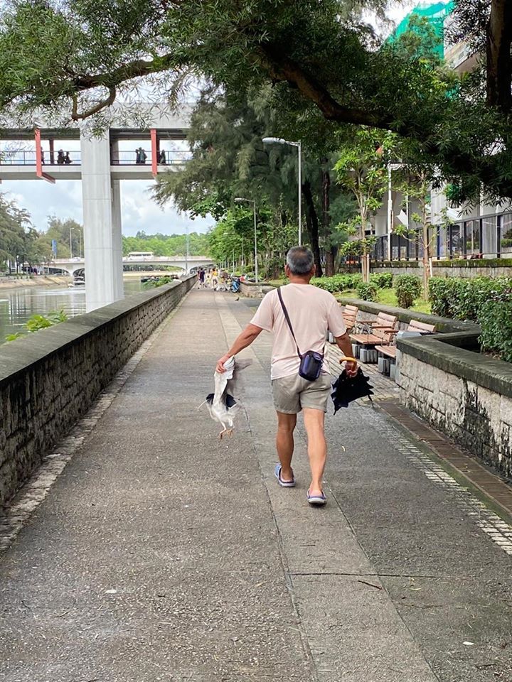 連桷璋FB圖片