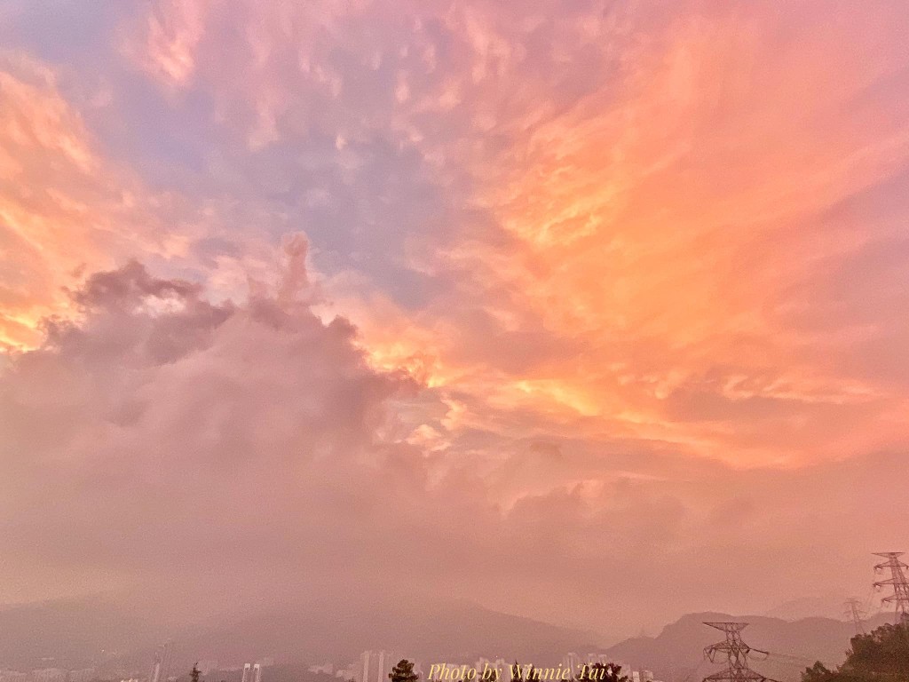網民Winnie Tai 圖片