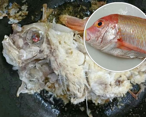 有港男在fb群組發文,貼上自己第一次煎魚的成績。網上圖片