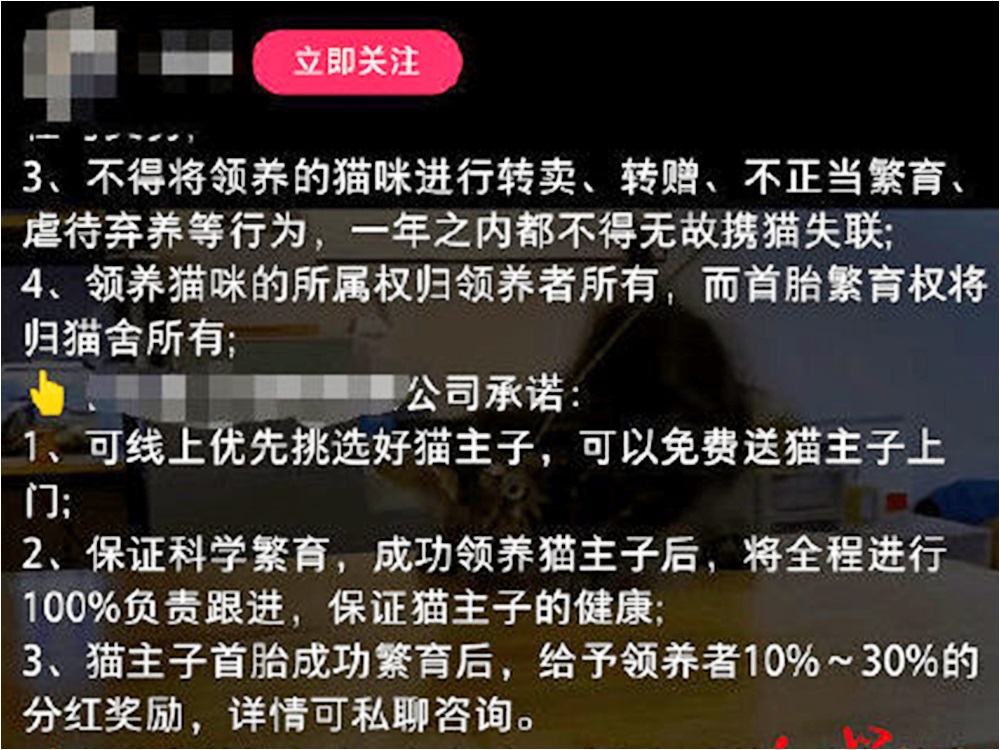 網圖