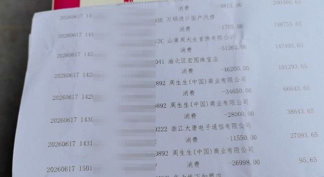 王女士的银行月结单。红星新闻 王女士的银行月结单。红星新闻