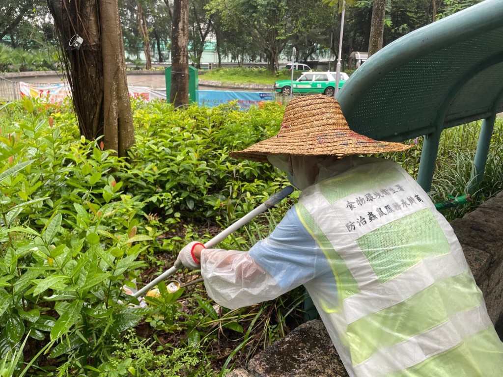 食環署清理嘉福邨一帶樹叢，防治蚊患。環境及生態局fb圖片