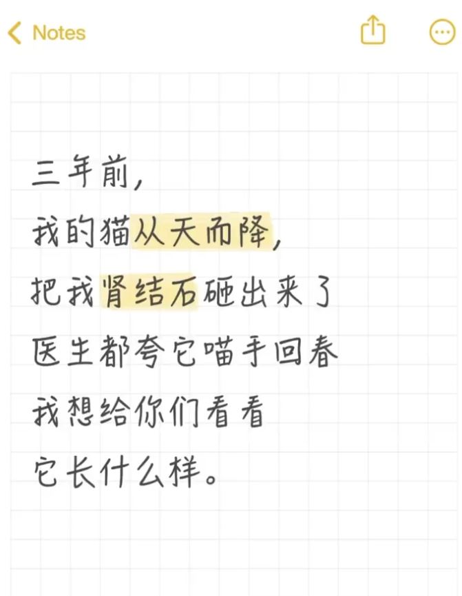 有網民分享自己奇幻的喵醫震走腎結石的經歷。微博＠紅葉Koyoo