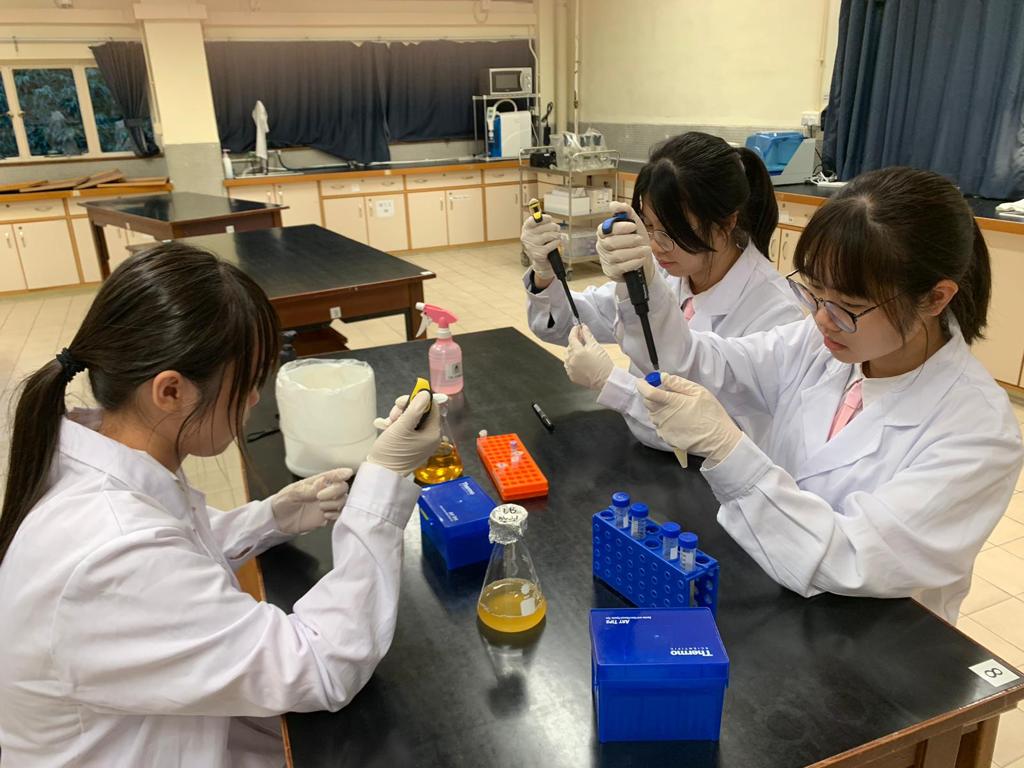 学生以合成生物科技改造大肠杆菌侦测甲醛