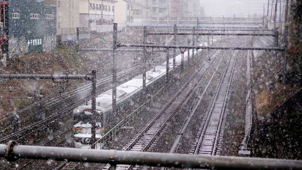 日本東京目黑車站電車在雪中行走。 新華社