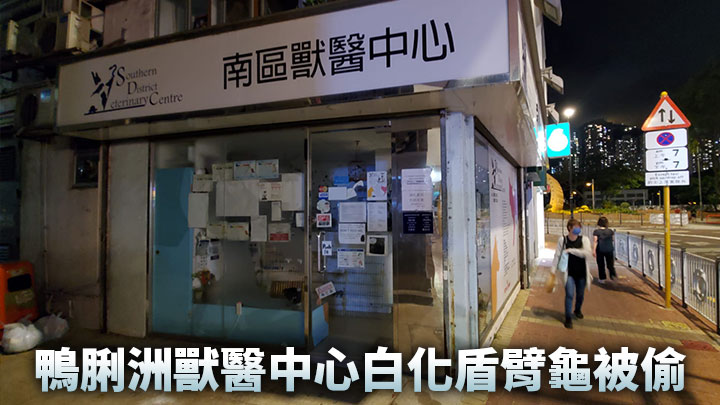 鴨脷洲一間獸醫中心遭人偷龜。