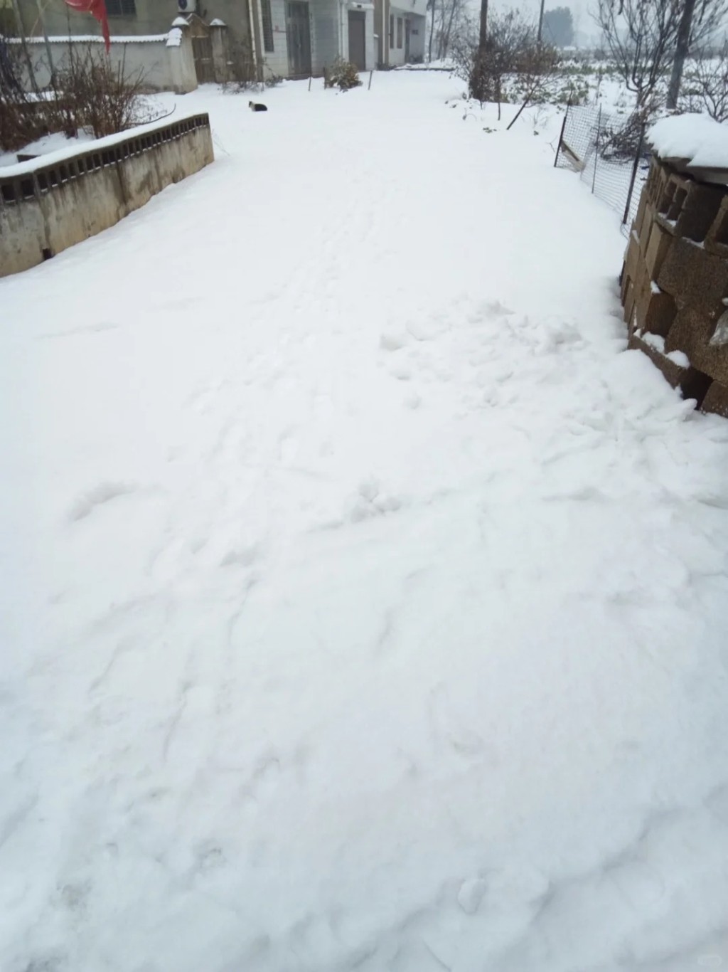 湖南暴雪令居民生活大受影响。小红书
