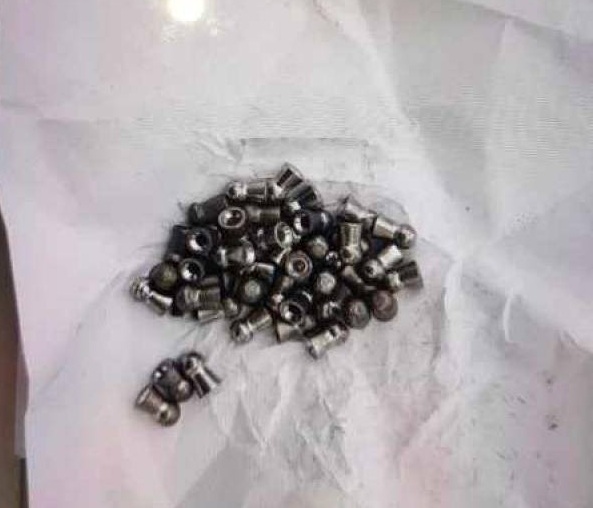 涉事气枪子弹。网上图片