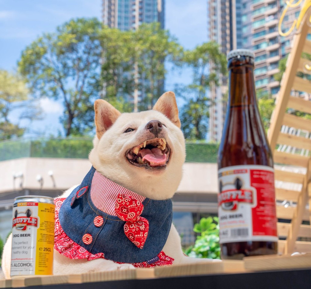 寵物啤酒連汪星人都飲得好爽。