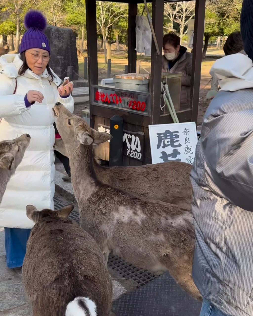 汪明荃昨日（18日）在奈良公園花200日元（約10.50港元）購買了一疊數片的鹿仙貝，據說是鹿最愛的美食！
