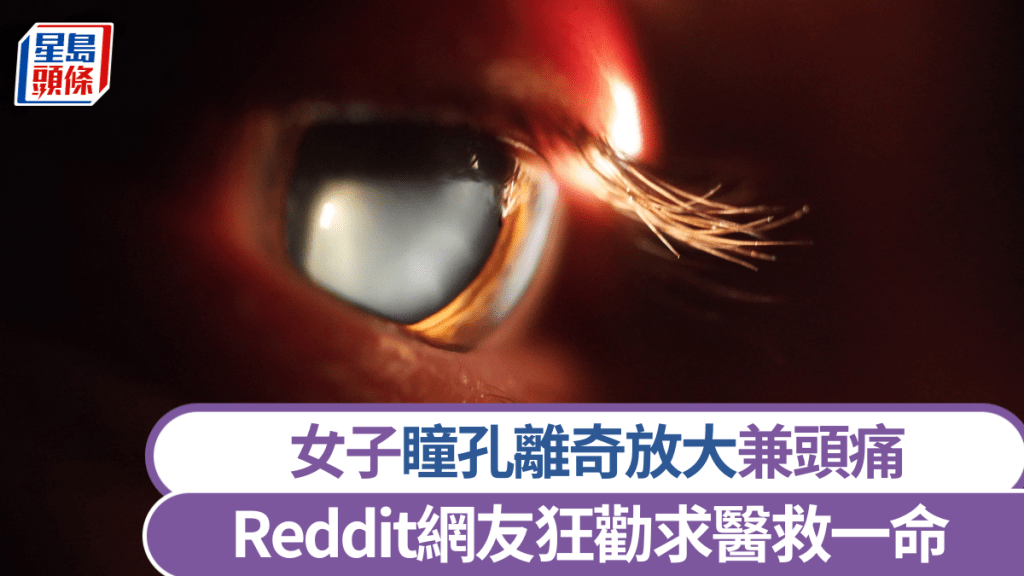 路透社示意圖