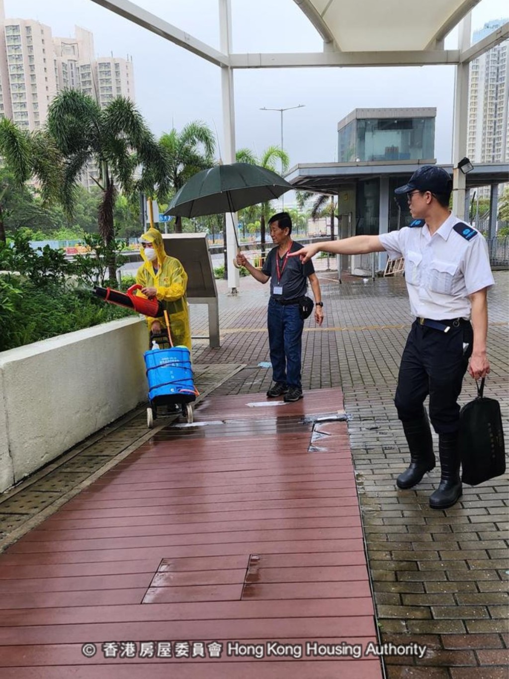 房署主動出擊,放置蚊子陷阱,噴灑蚊霧,施放蚊油及蚊沙。 房署主動出擊,放置蚊子陷阱,噴灑蚊霧,施放蚊油及蚊沙。