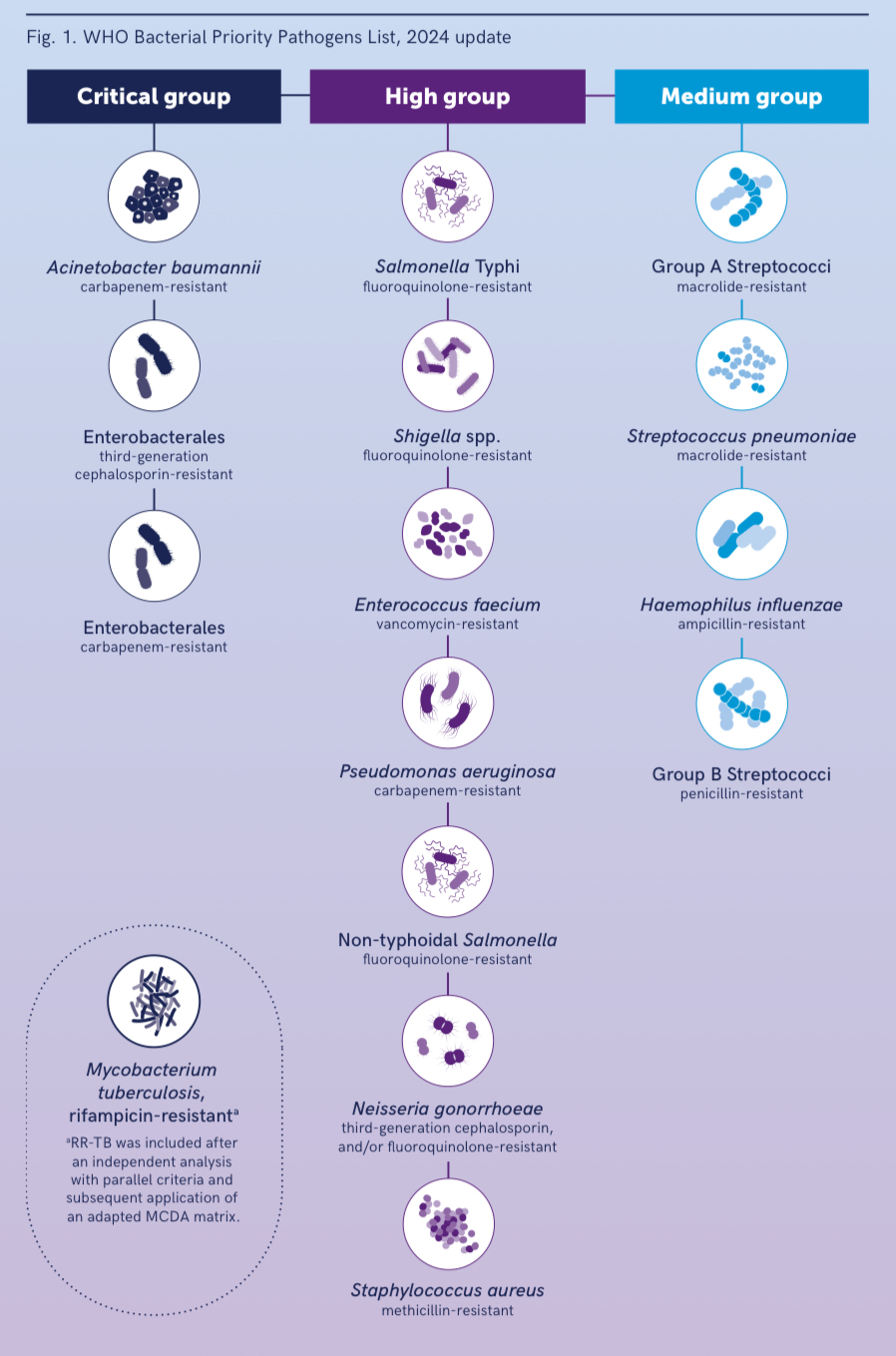 世卫最近名单包括15种抗生素耐药菌。 