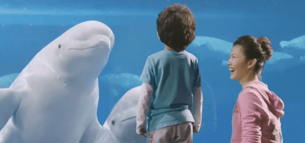 「海洋樂園」集遊樂場、水族館及動物園於一身，曾是尼亞加拉瀑布地區的旅遊熱點。CBS NEWS新聞畫面截圖