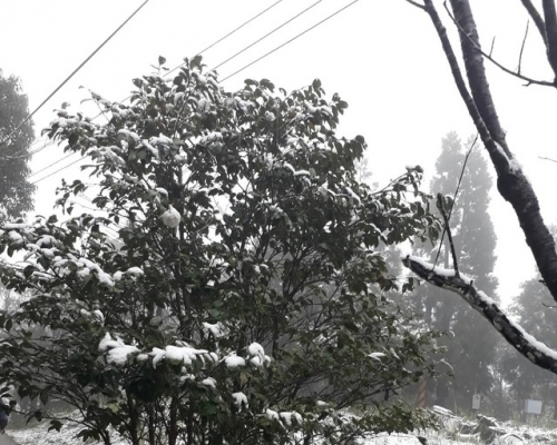 新北市烏來今早出現降雪的情況。 網上圖片