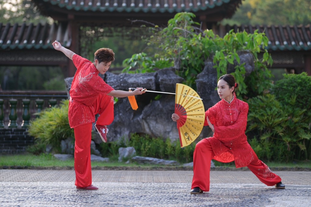 由两位武术世界冠军共同表演，勾勒出武术力量之美的《武影同行》，为「盛舞之夜」表演节目之一。武林盛舞嘉年华图片