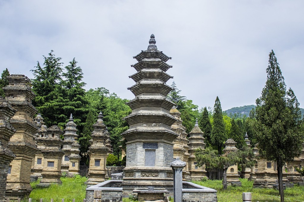 少林寺塔林位于河南省登封市嵩山少林寺的西侧，这里是少林寺历代德高望重的僧侣的归宿之地。