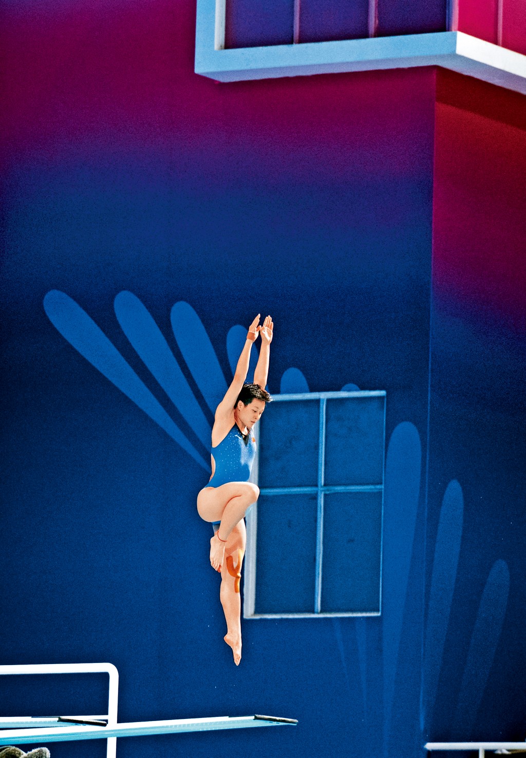 陈艺文在昨日的3米板初赛和准决赛都排第1。