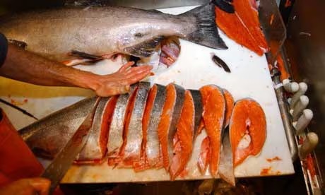 三文魚富含omega-3脂肪。美聯社 三文魚富含omega-3脂肪。美聯社