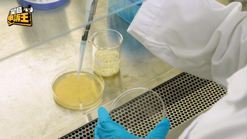 為進一步確認4款杯麵的微生物含量是否超標，其團隊將浸泡4款杯麵的水滴入培養皿。