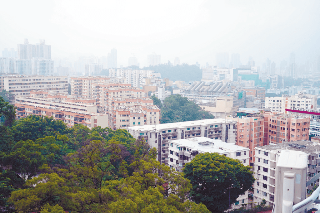 單位所處位於較高，可望九龍塘豪宅區景色，視野開揚無阻。