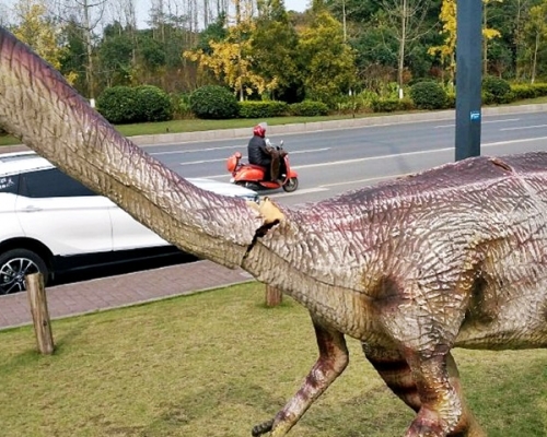 恐龍頸部破捐。