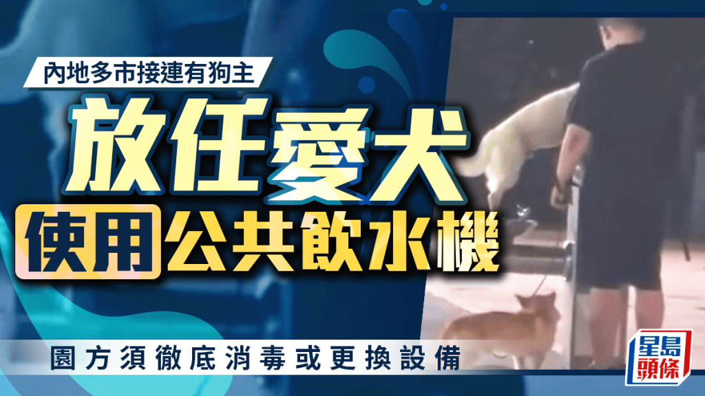 寵物友好︱狗主放任愛犬用公眾飲水機  深圳重慶等多地回應
