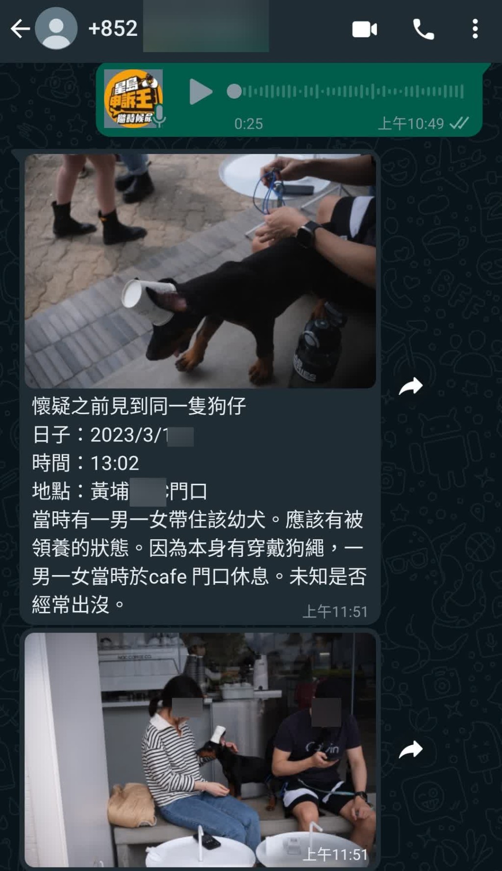 《星島申訴王》收到市民劉先生報料，表示三月中曾在黃埔一間咖啡室門外，見到與朵朵外表高度相似的毛孩。
