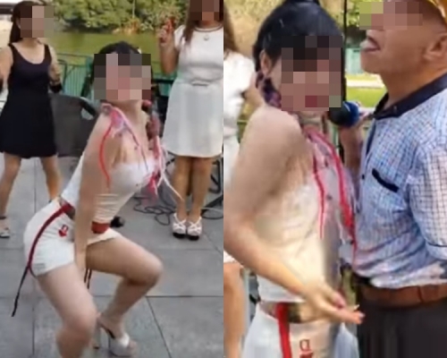 區議會一致通過取消屯公自娛區。